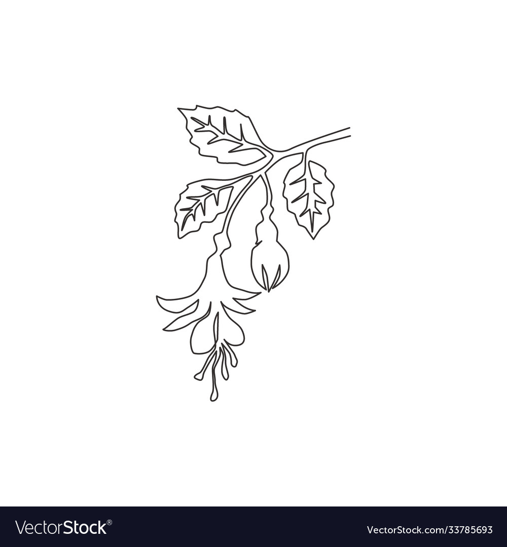 Single Continuous Line Drawing Beauty Fresh Vector Image