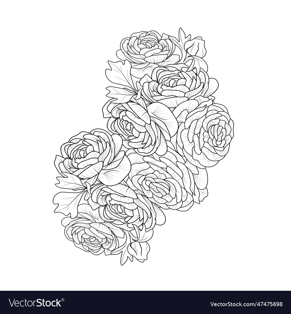 Ranunculus buttercup entangle tattoo with arm Vector Image