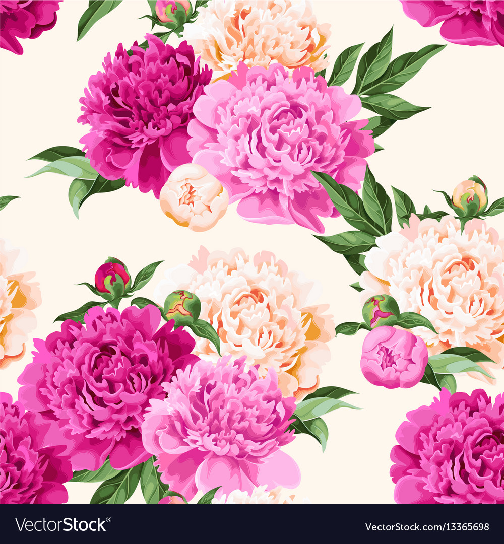 Seamless varicolored peonies Royalty Free Vector Image