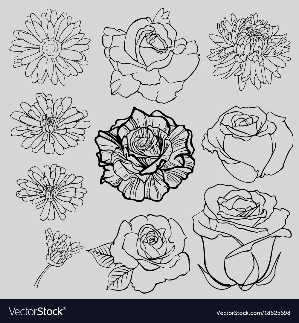 set of isolated lined flower sketches royalty free vector
