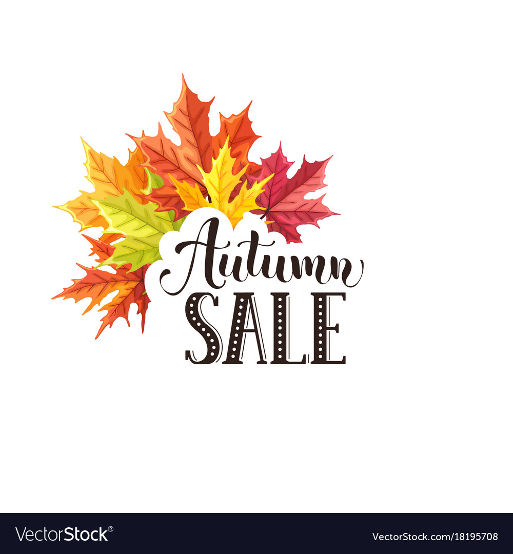 Autumn sale banner