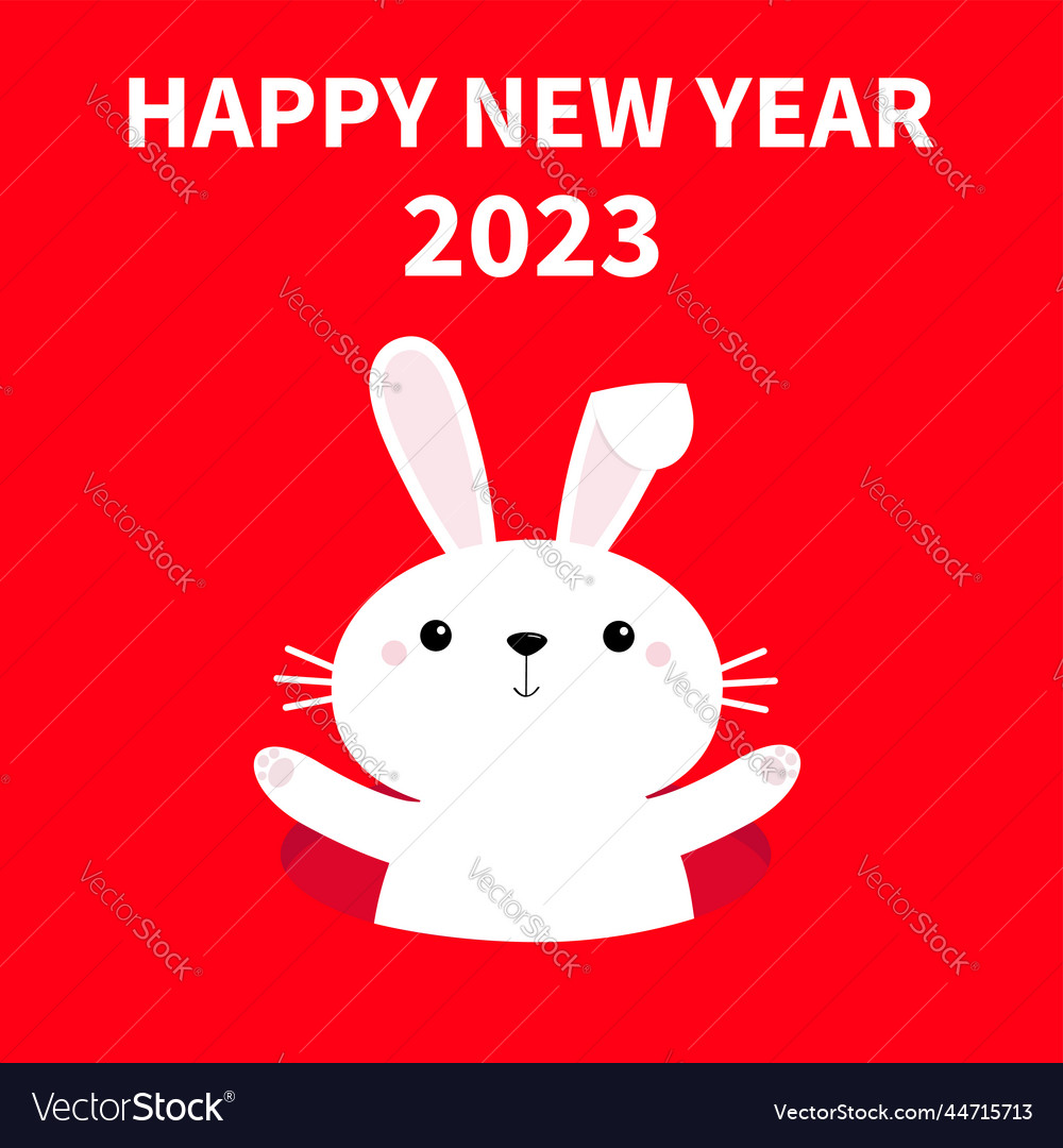 Happy chinese new year 2023