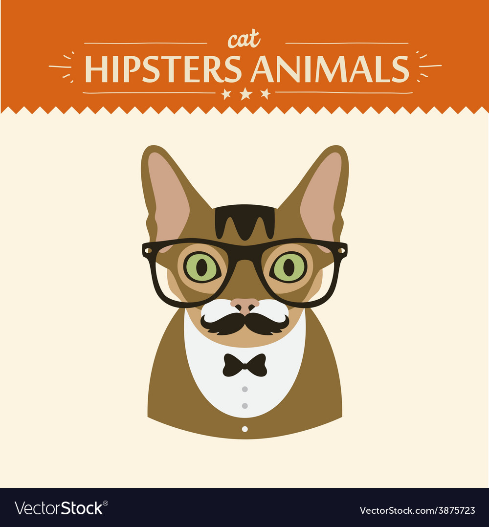 Fashion portrait of hipster cat with glasses