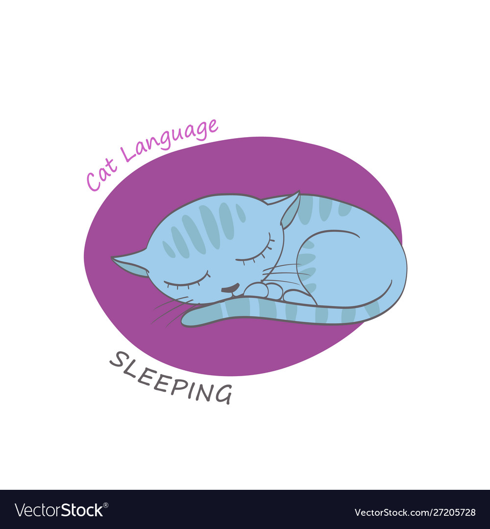 Cat behavior image vector image Cat behavior image