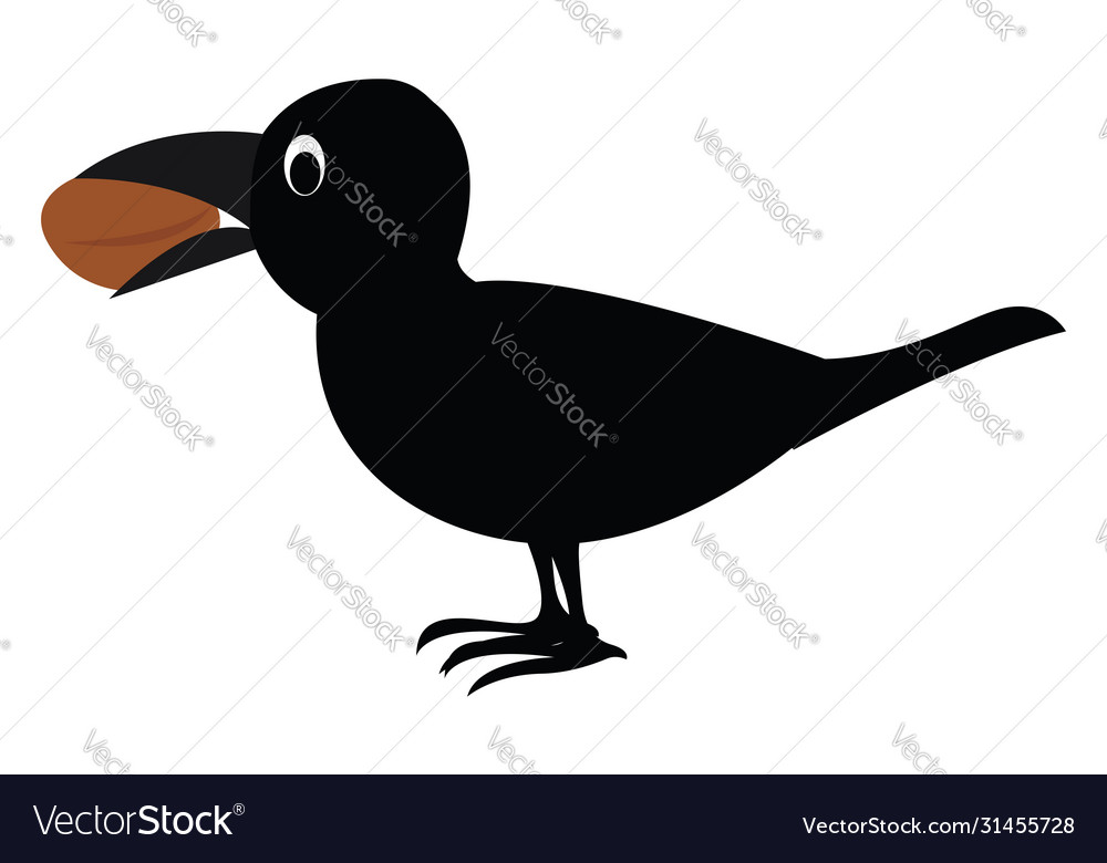 Crow with a nut on white background