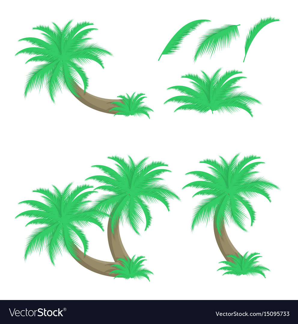 Set of palm trees and leafs