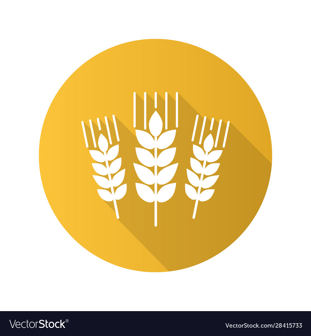 Wheat Ohren flaches Design lange Schatten Glyph-Symbol