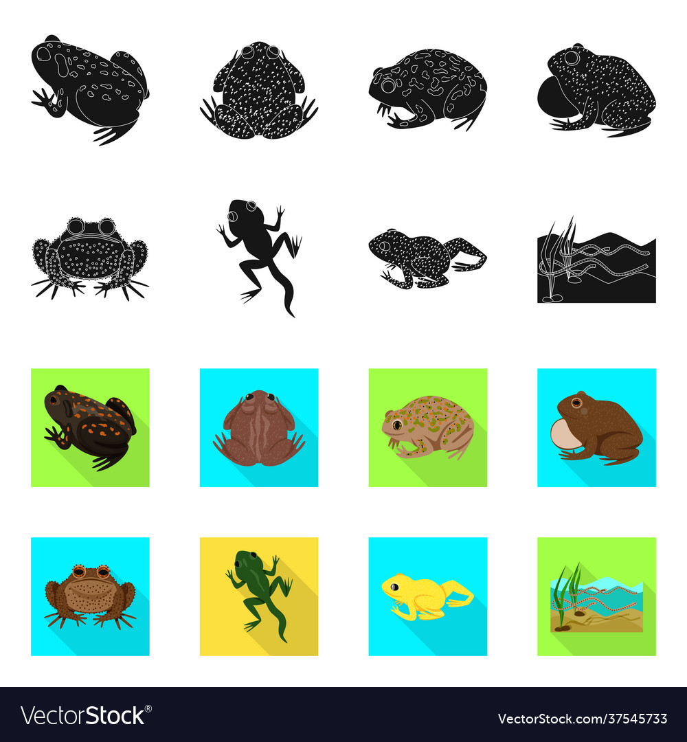 Wildlife and bog icon set