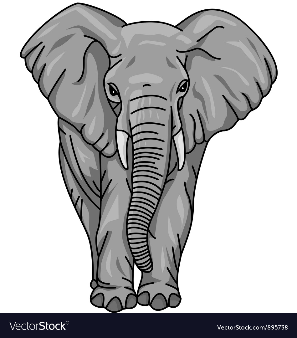 Download African elephant Royalty Free Vector Image - VectorStock