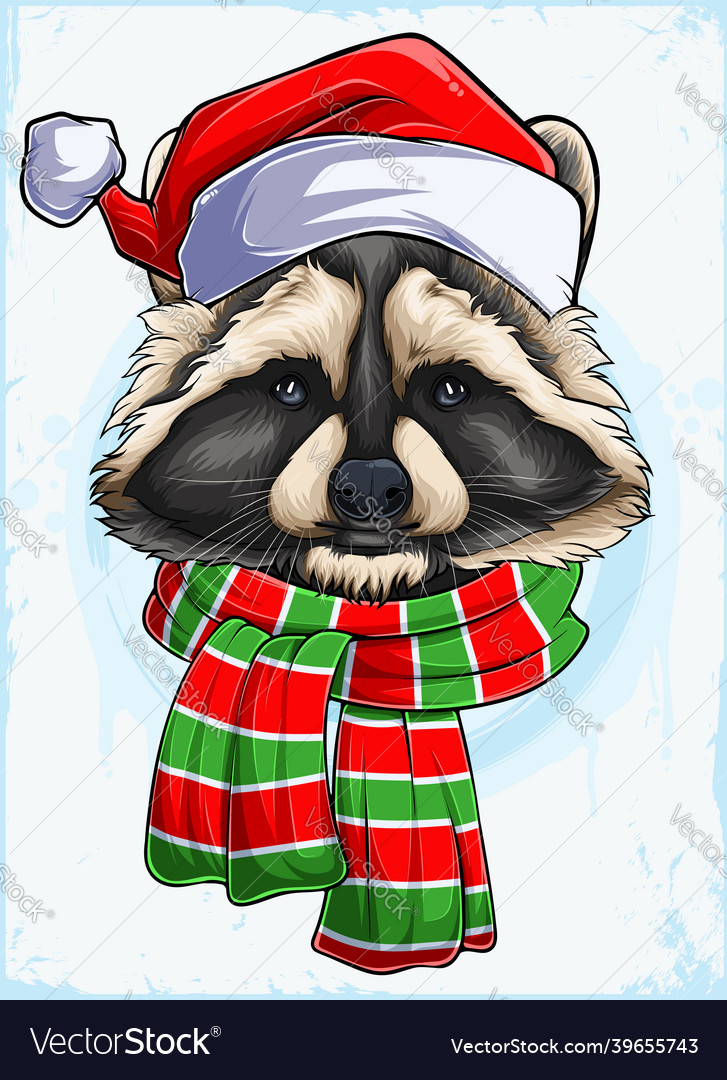 raccoon santa hat