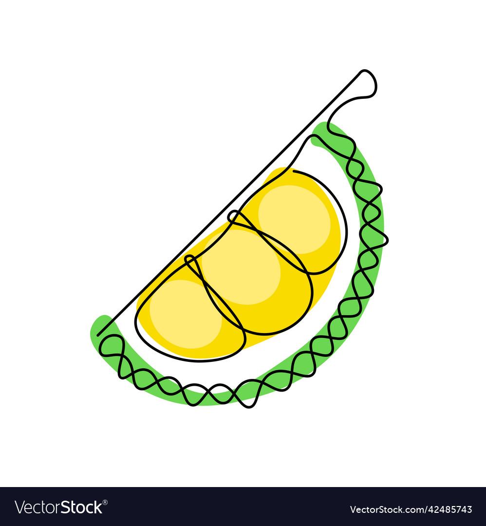 Continuous line of durian fruits concept object Vector Image Continuous line of durian fruits concept object