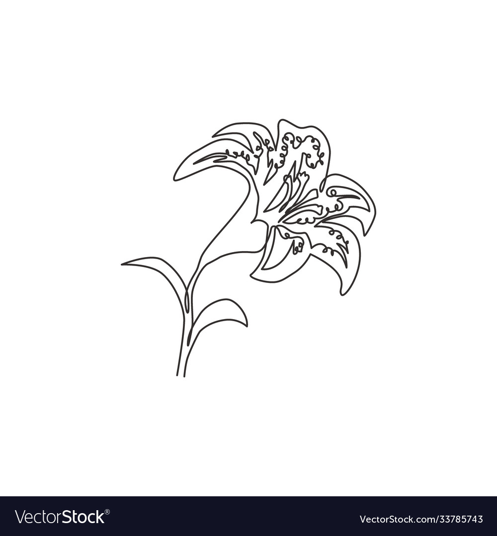 Single Continuous Line Drawing Beauty Fresh Vector Image