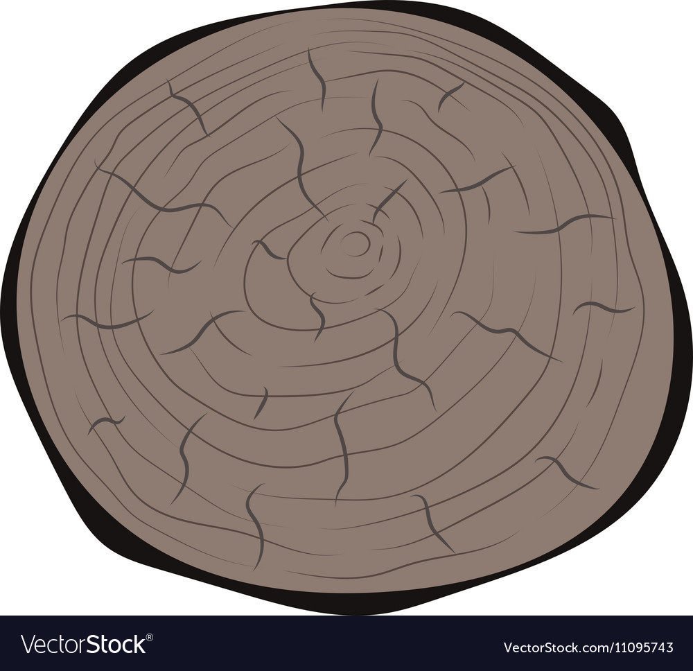 Tree slice isolated