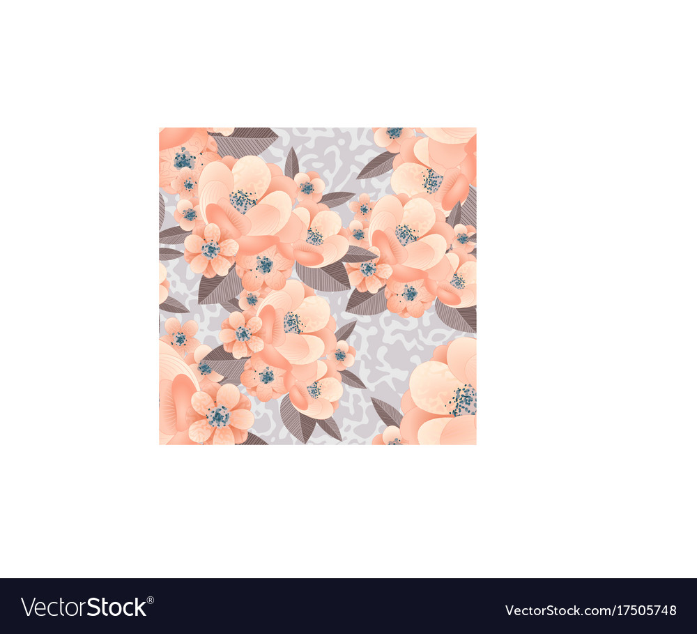 Bouquet of delicate flowers Royalty Free Vector Image