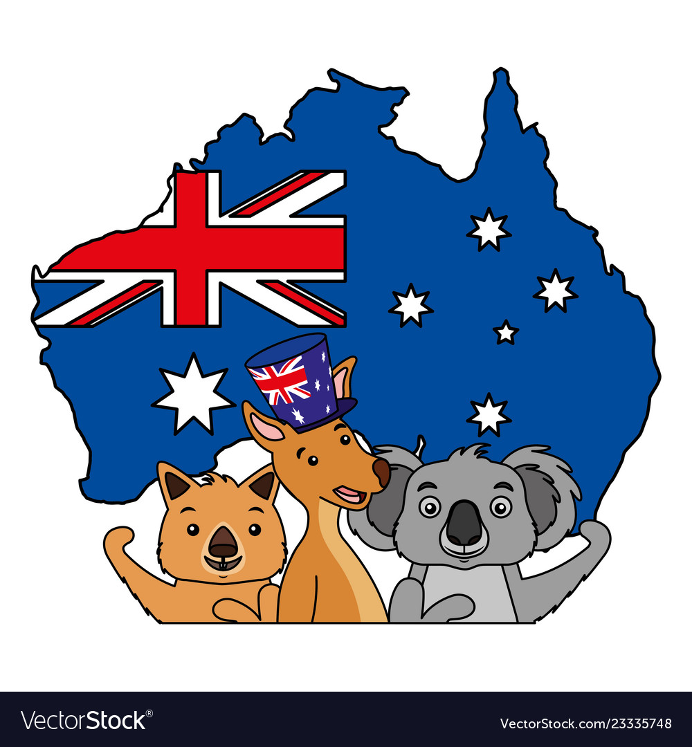 difference between kangaroo and koala clipart