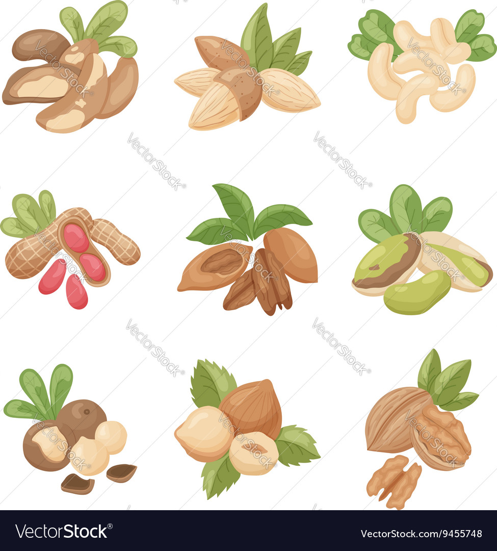 Set of nuts