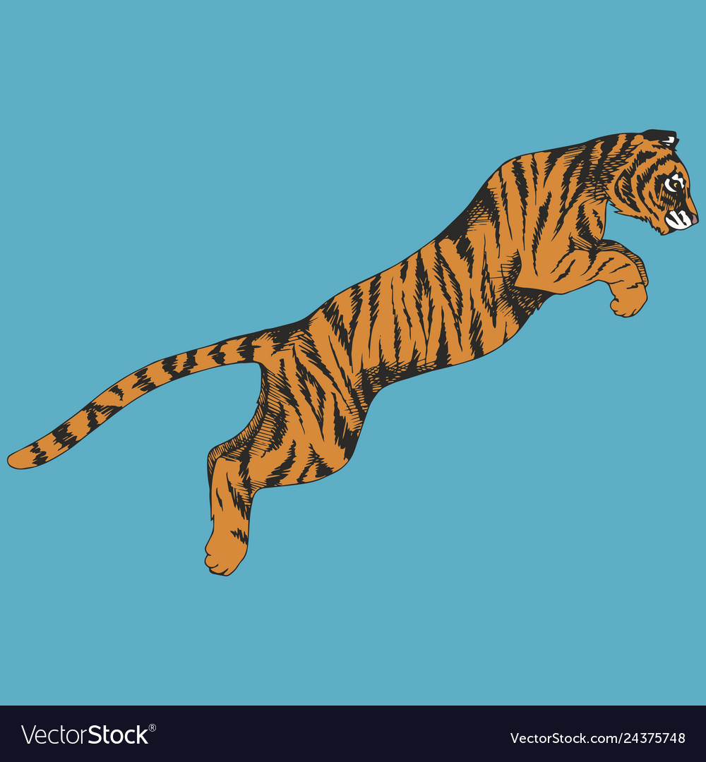 Tiger in Dynamic Jump Pose