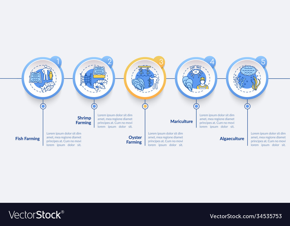 Aquaculture infographic template