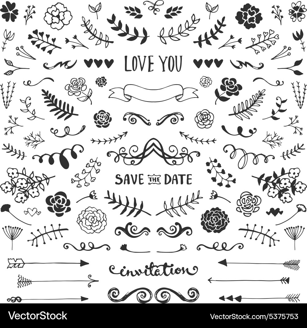 Floral elements collection Royalty Free Vector Image