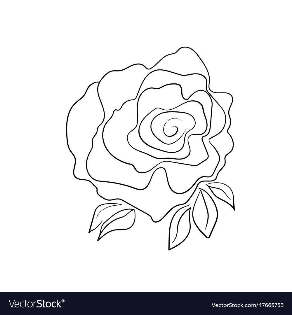 Floral silhouette art line flowers in continuous Vector Image