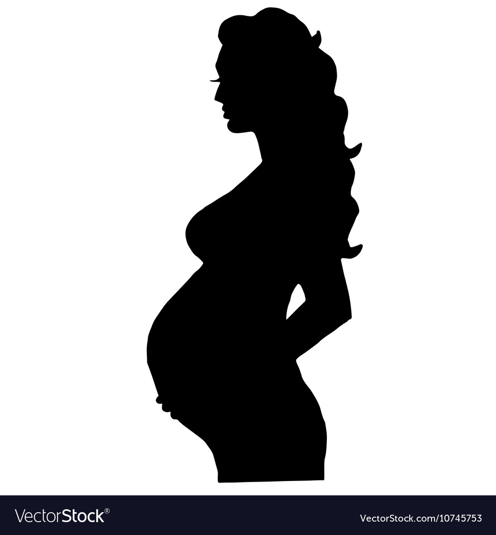 Pregnant woman isolated Royalty Free Vector Image