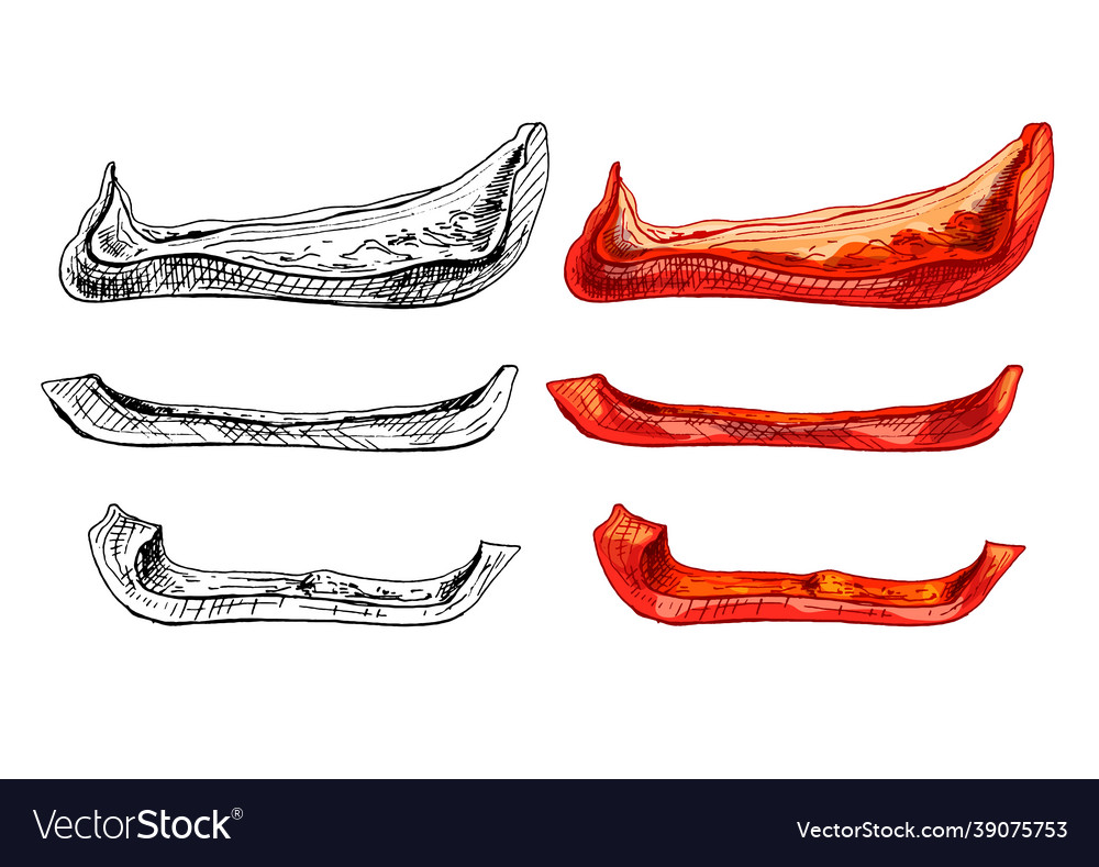 Whole half and slice sweet red bell peppers