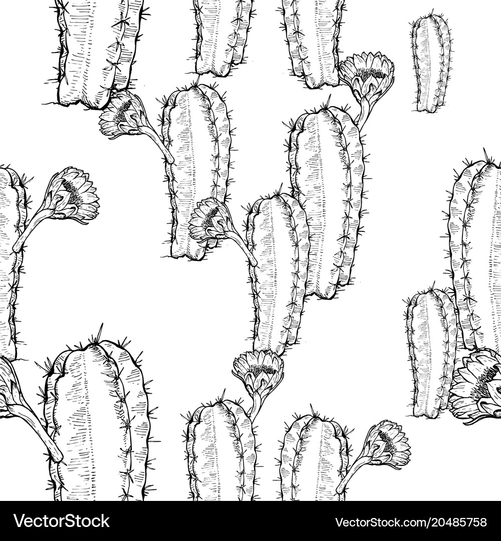 Cactus seamless pattern Royalty Free Vector Image