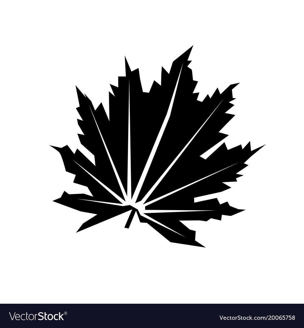 Flat leaf icon isolated on white Royalty Free Vector Image