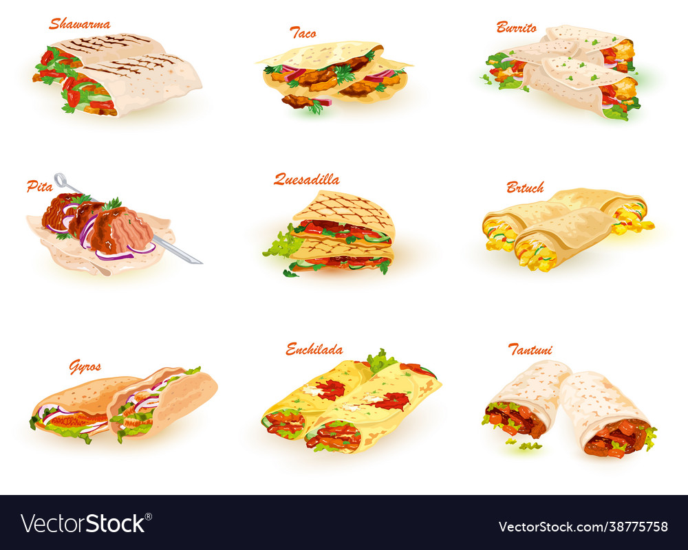 Set different types shaurma vector image Set different types shaurma