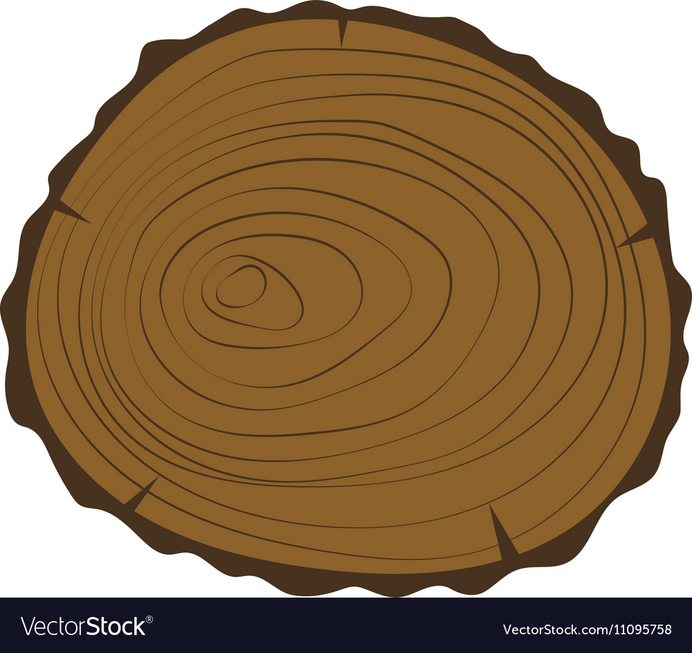 Tree slice isolated