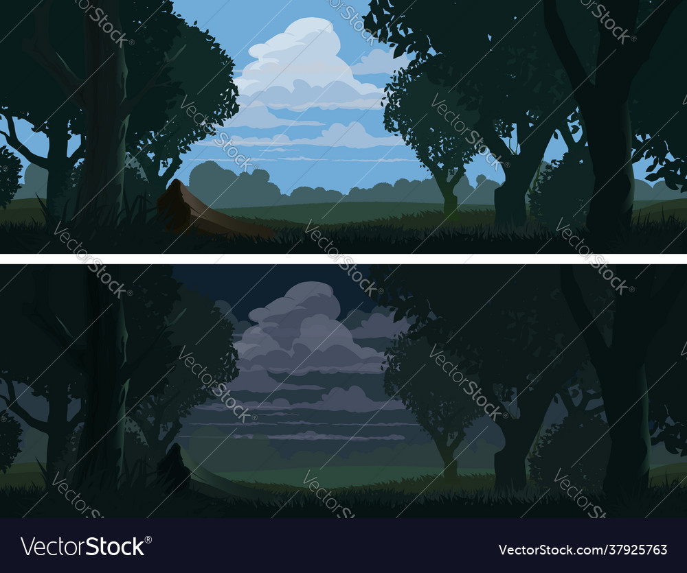 Forest edge landscape at evening and night Vector Image