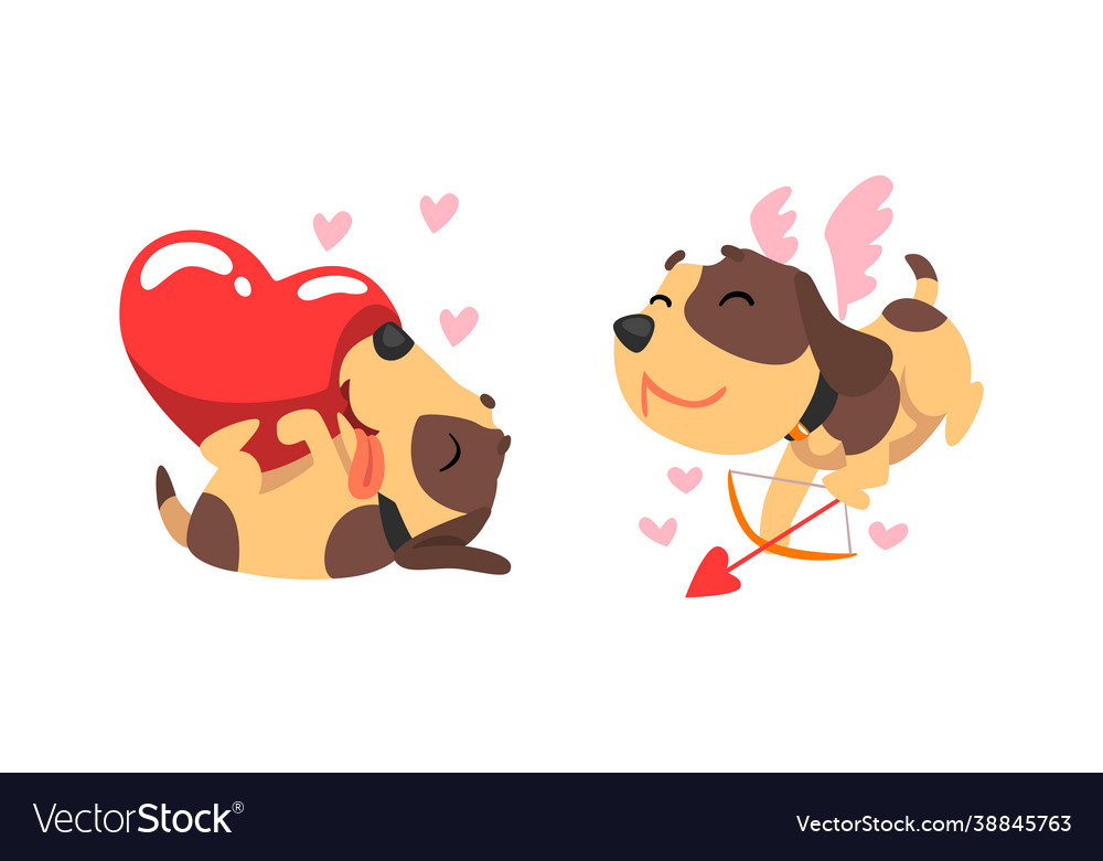 Funny jack russell terrier dog with red valentine