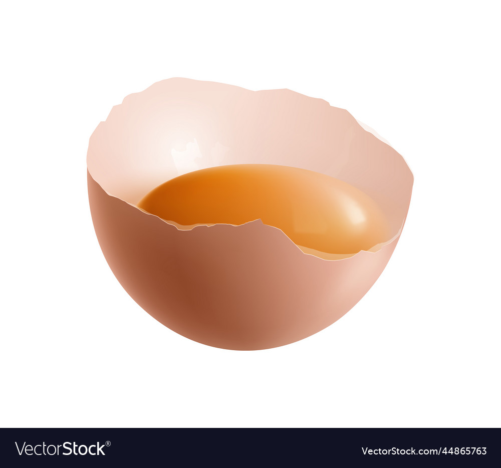 Half egg shell composition Royalty Free Vector Image
