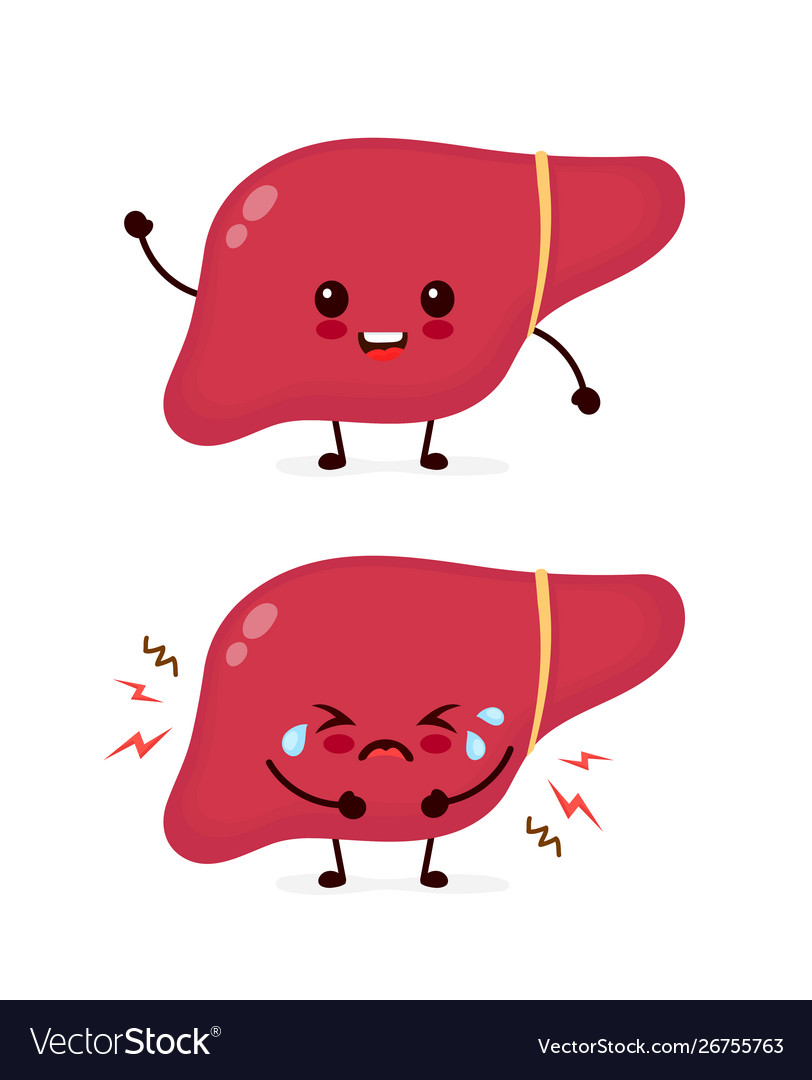 Sad sick cry and healthy strong cute liver Vector Image