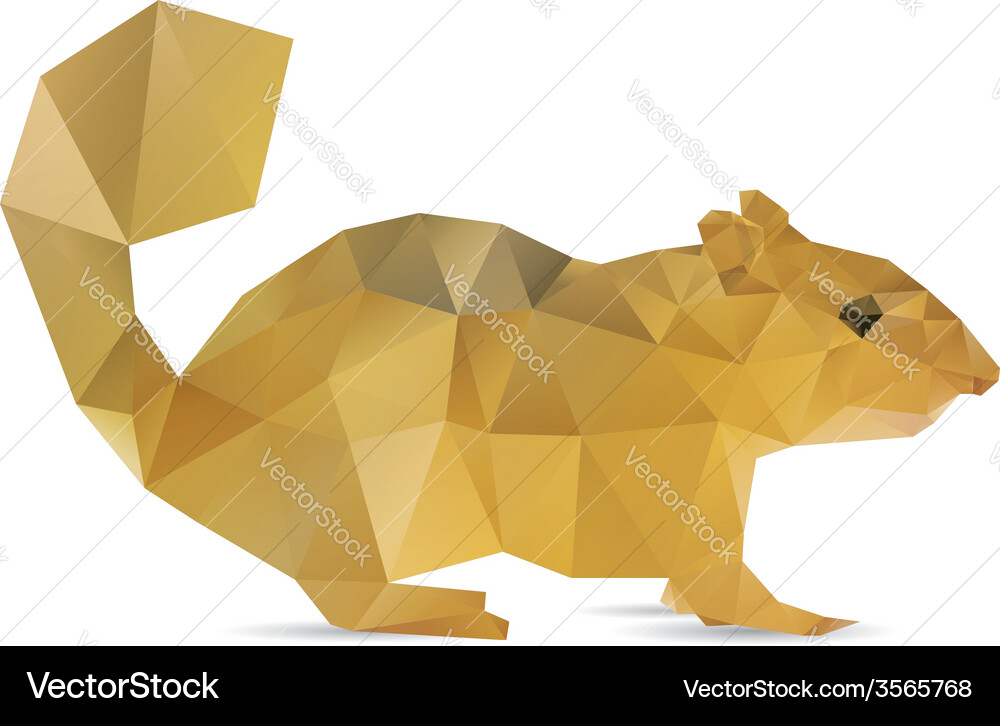 Abstract squirrel Royalty Free Vector Image - VectorStock