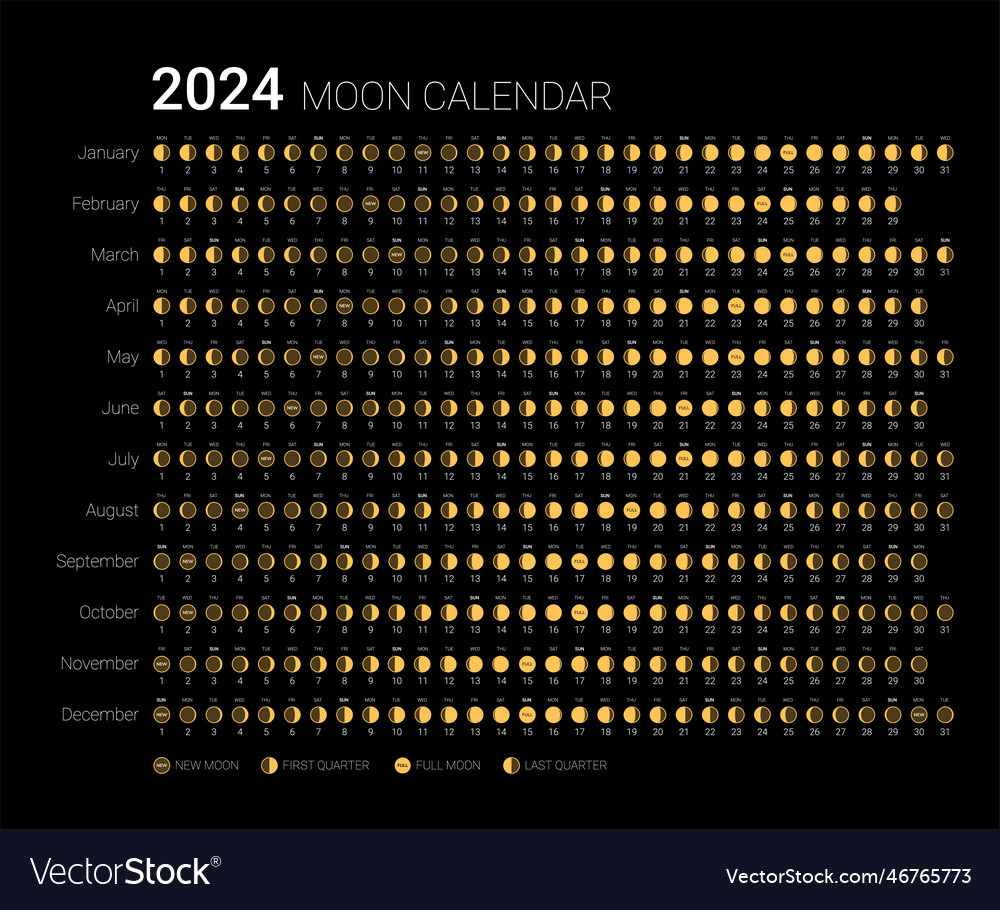 2025 moon calendar monthly cycle planner Vector Image