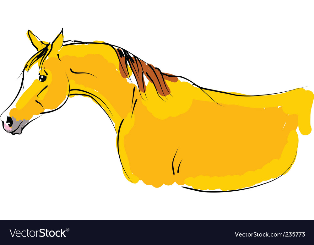 Arab horse