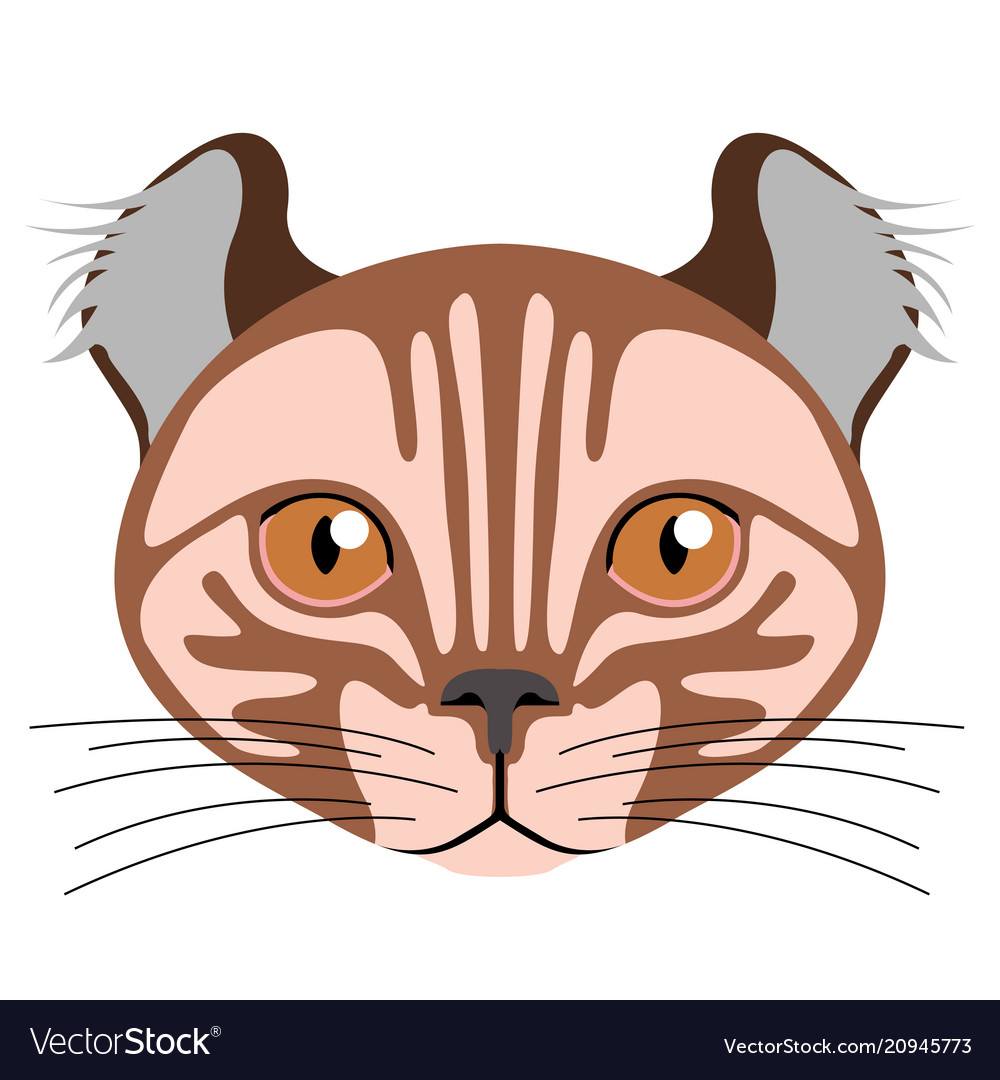 Avatar Of A Cat Breeds Royalty Free Vector Image