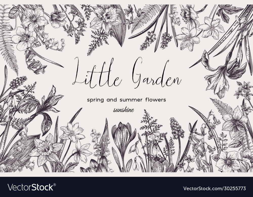 Floral frame with flowers vector image Floral frame with flowers