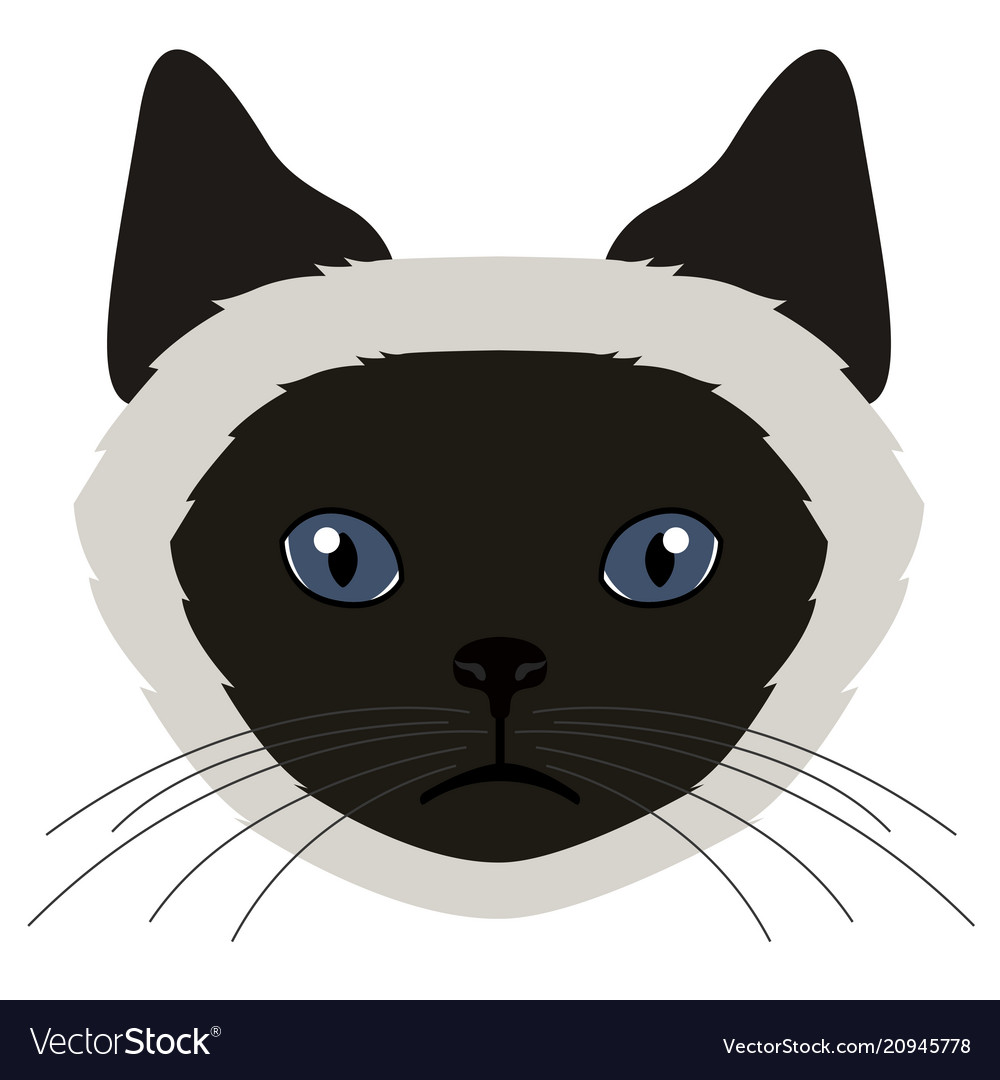 Balinese cat avatar breeds Royalty Free Vector Image