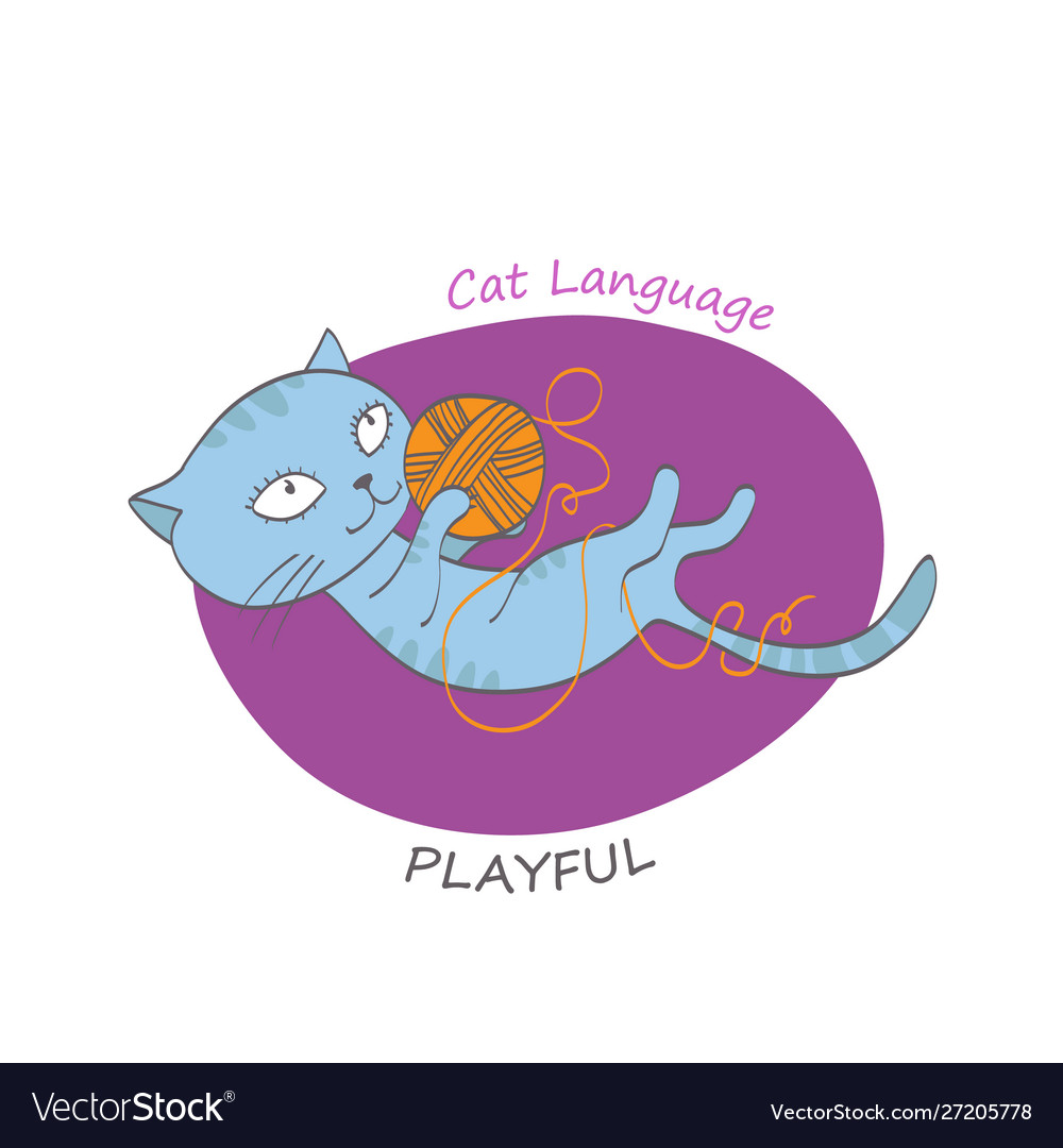 Cat behavior image vector image Cat behavior image