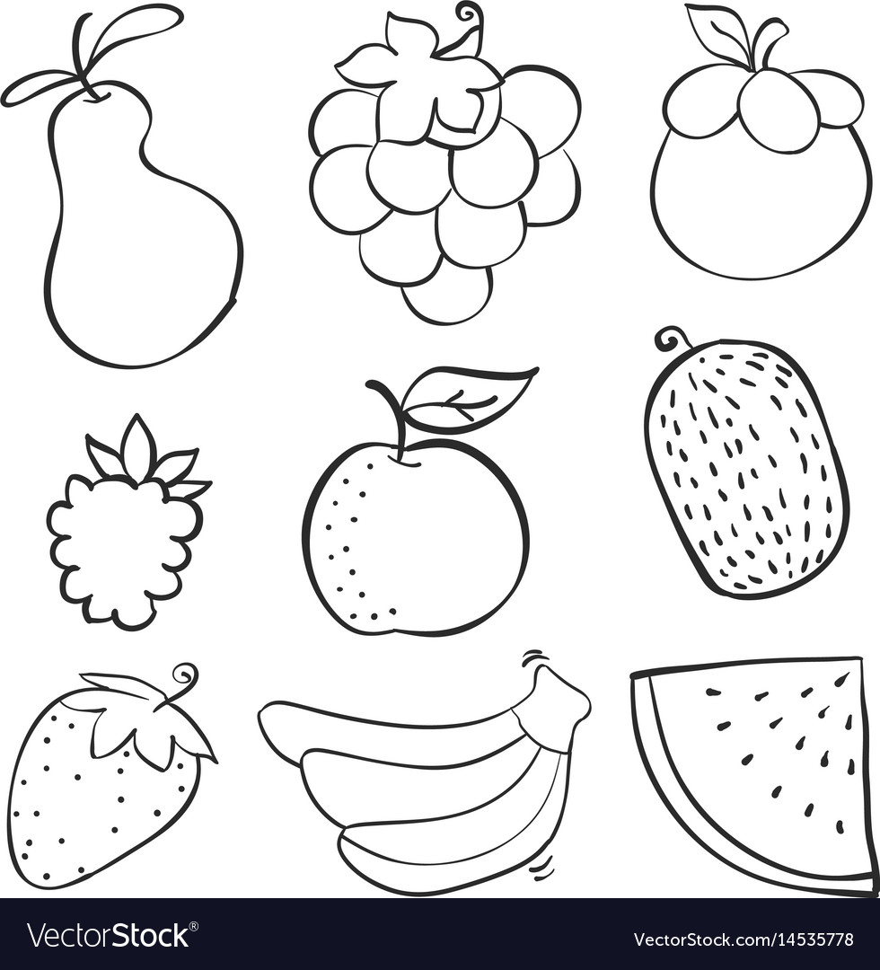Collection stock of fruit various doodles