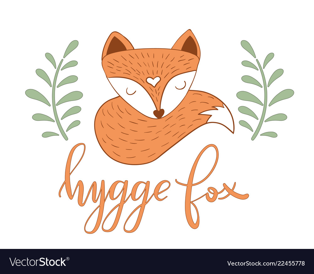 Scandinavian sleepy fox