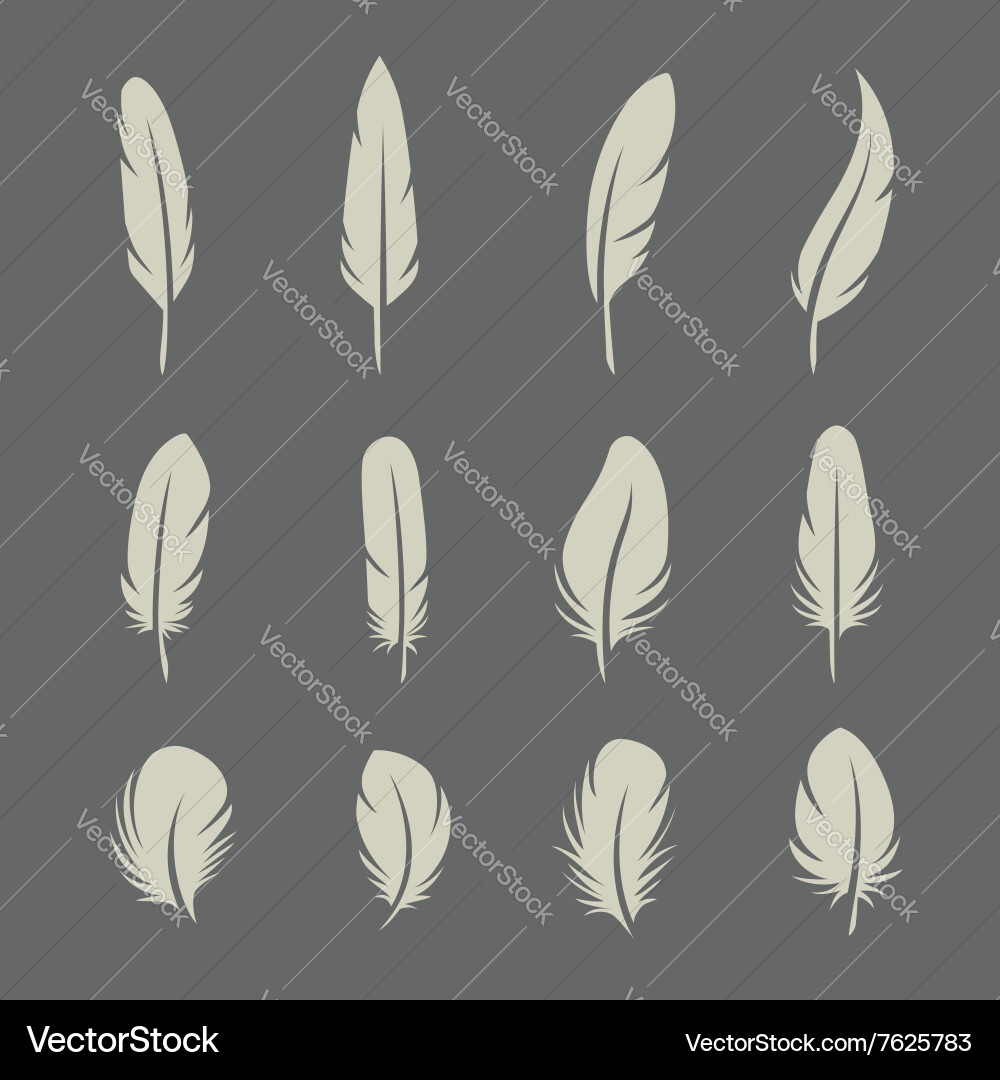 Feathers retro set Royalty Free Vector Image - VectorStock