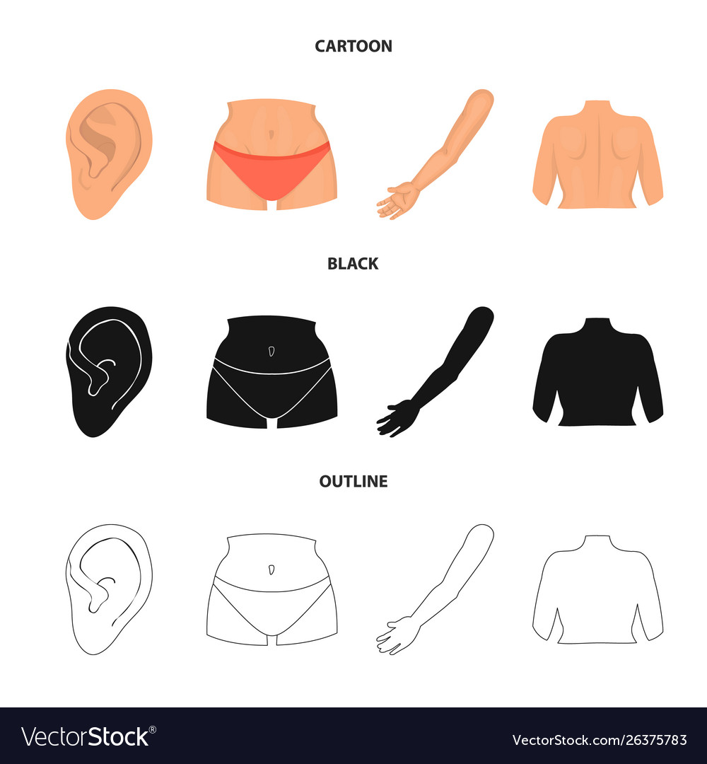 Isolated object body and part icon collection vector image Isolated object body and part icon collection