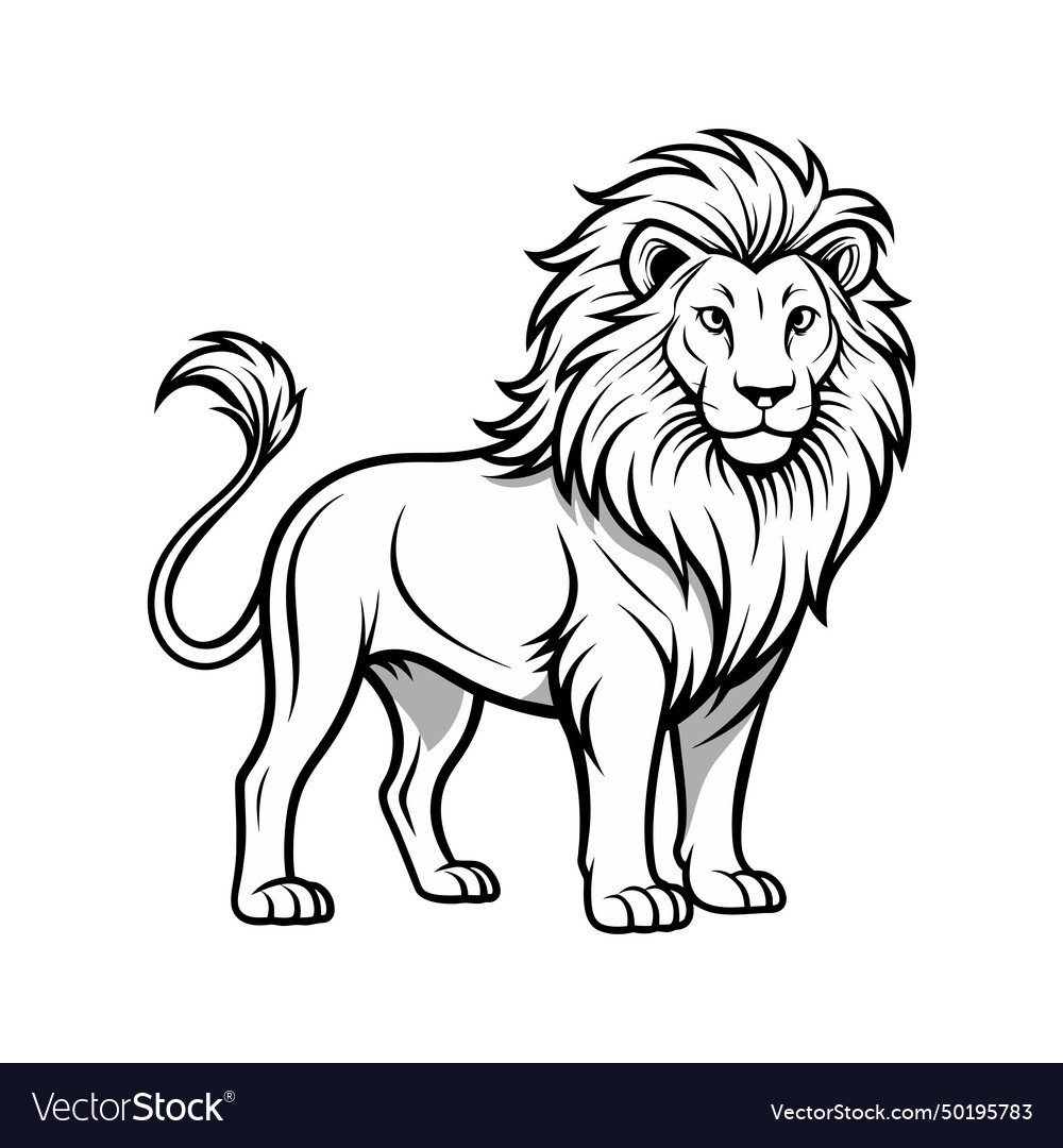 Lion outline images