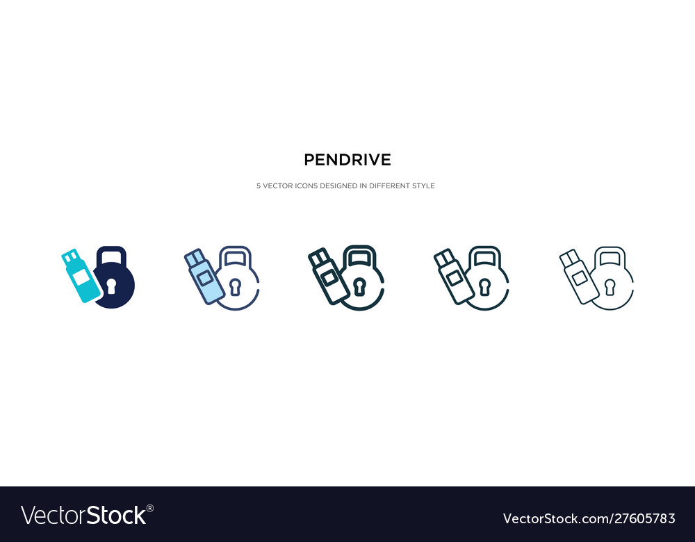 Pendrive icon in different style two colored