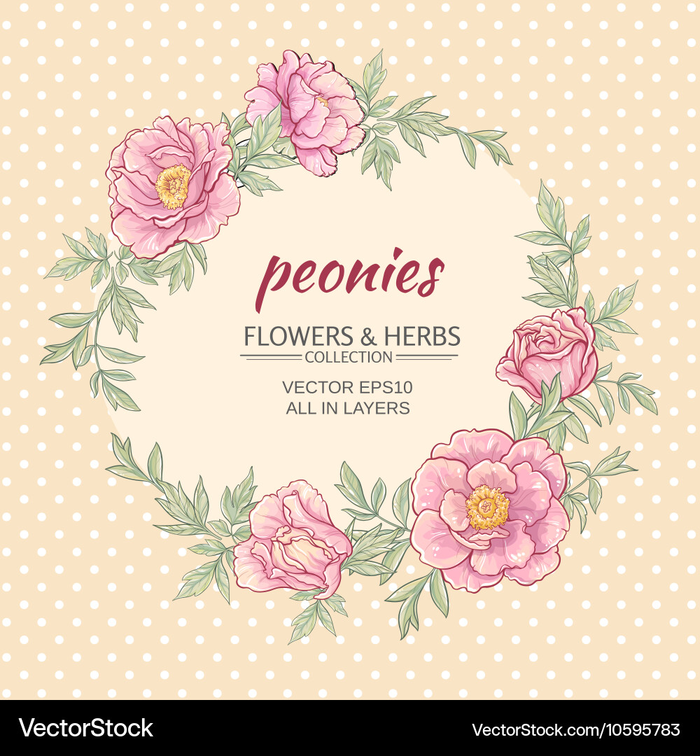 Peonies frame Royalty Free Vector Image - VectorStock