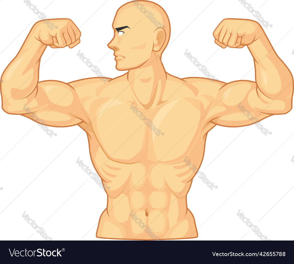 Bodybuilder Flexing Arm Bicep Muscle Cartoon Vector Image 5733