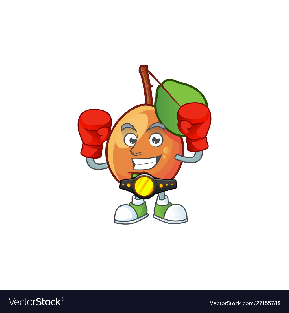 Boxing shipova fruit cartoon character for logo